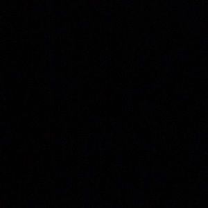 Meet your Posher, Pauline